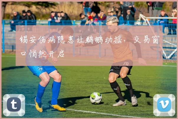 锡安伤病隐患让鹈鹕动摇，交易窗口悄然开启